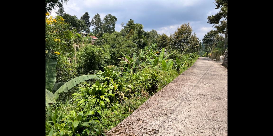 Jual Tanah 867m2 Dekat Sungai Kemuning Ngargoyoso Karanganyar Jual Tanah 867m2 Dekat Sungai Kemuning Ngargoyoso Karanganyar