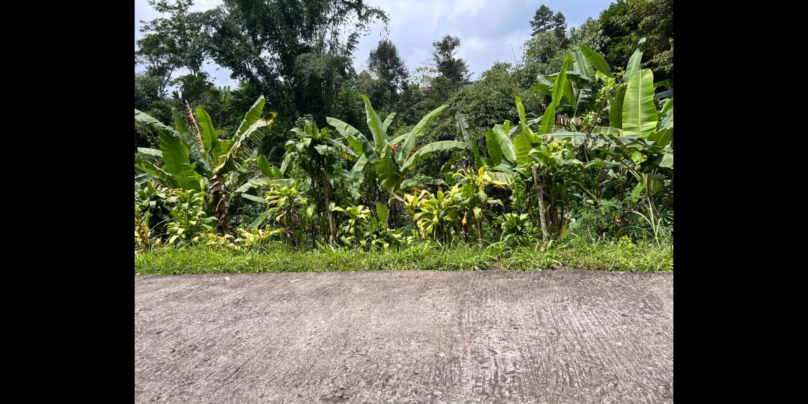 Jual Tanah 867m2 Dekat Sungai Kemuning Ngargoyoso Karanganyar Jual Tanah 867m2 Dekat Sungai Kemuning Ngargoyoso Karanganyar