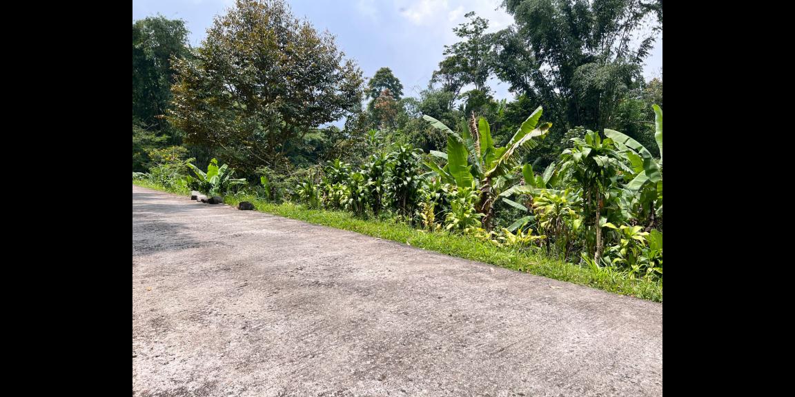 Jual Tanah 867m2 Dekat Sungai Kemuning Ngargoyoso Karanganyar Jual Tanah 867m2 Dekat Sungai Kemuning Ngargoyoso Karanganyar