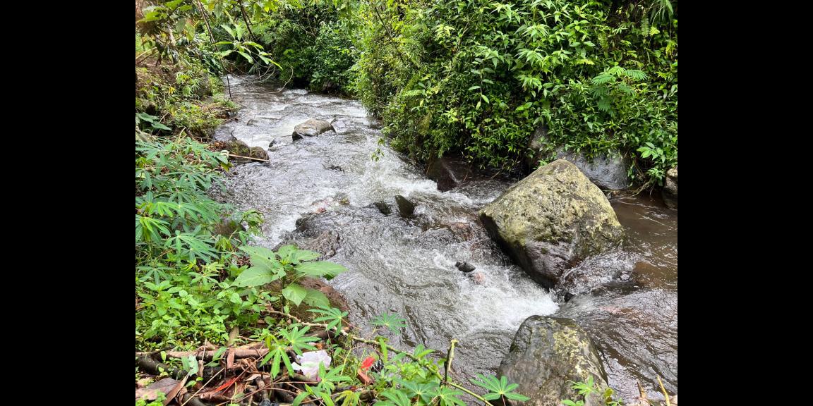 Jual Tanah 867m2 Dekat Sungai Kemuning Ngargoyoso Karanganyar Jual Tanah 867m2 Dekat Sungai Kemuning Ngargoyoso Karanganyar