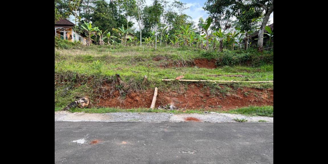 Tanah Dijual Hanya 200jt Karangpandan Karanganyar Tanah Dijual Hanya 200jt Karangpandan Karanganyar