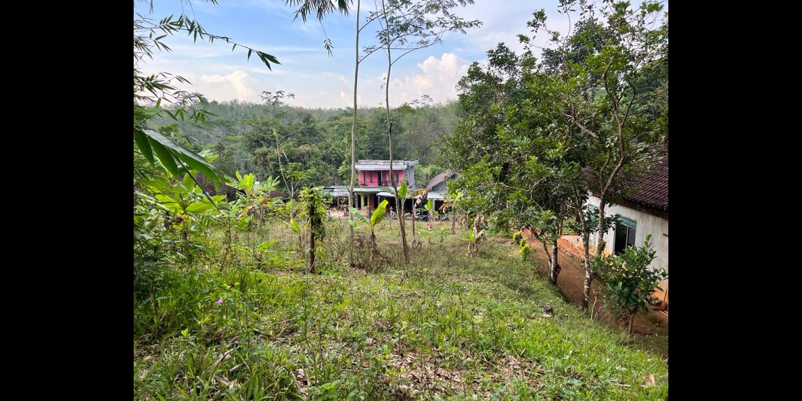 Tanah Dijual Hanya 200jt Karangpandan Karanganyar Tanah Dijual Hanya 200jt Karangpandan Karanganyar