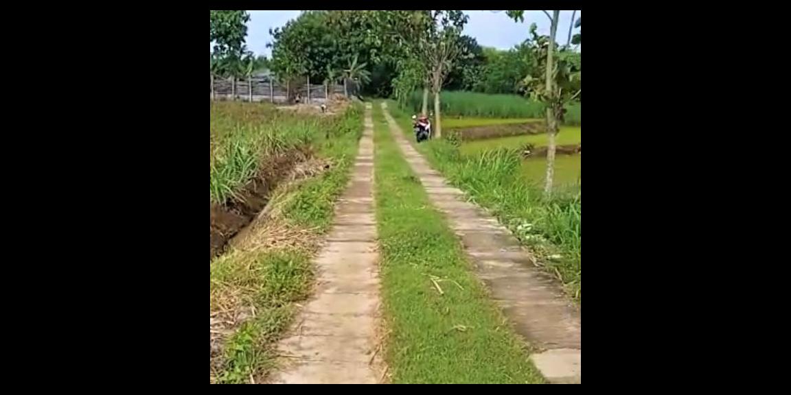 Tanah 17 Hektar Mojogedang Karanganyar Tanah 17 Hektar Mojogedang Karanganyar