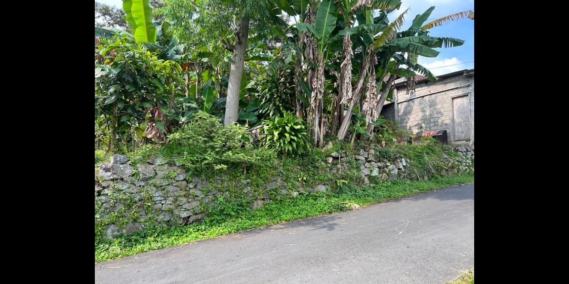 Jual Tanah 176m² Karangpandan, Karanganyar Jual Tanah 176m² Karangpandan, Karanganyar