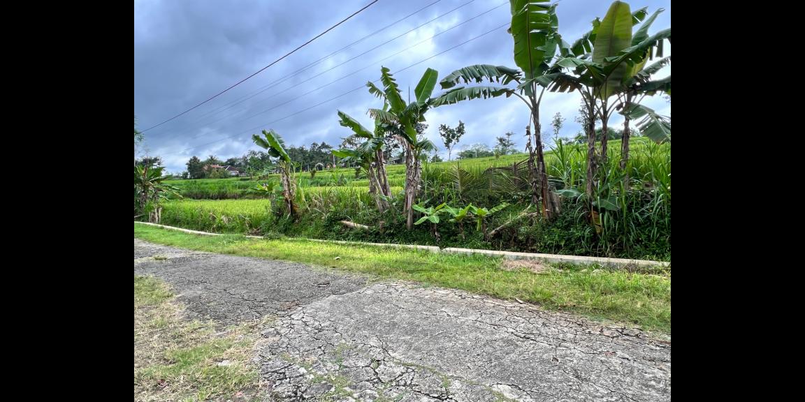 Jual Cepat Rumah Joglo Mojogedang, Karanganyar Jual Cepat Rumah Joglo Mojogedang, Karanganyar
