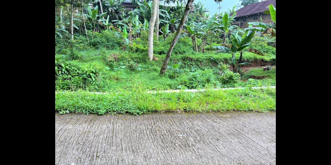 Jual Tanah Dekat Sungai Pegunungan Kemuning Jual Tanah Dekat Sungai Pegunungan Kemuning