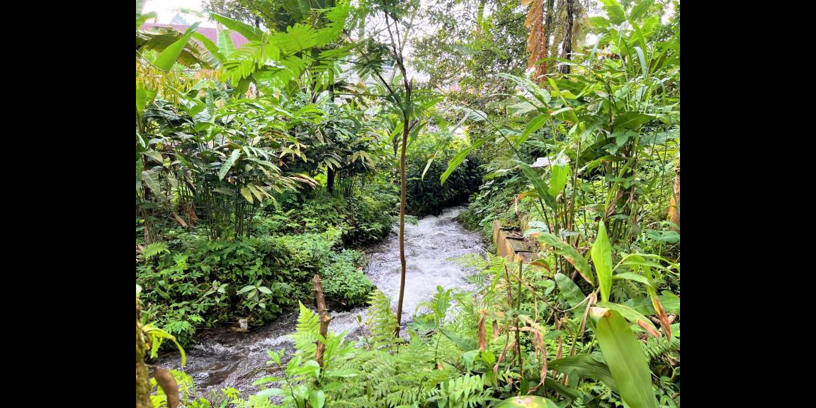 Jual Tanah Dekat Sungai Pegunungan Kemuning Jual Tanah Dekat Sungai Pegunungan Kemuning