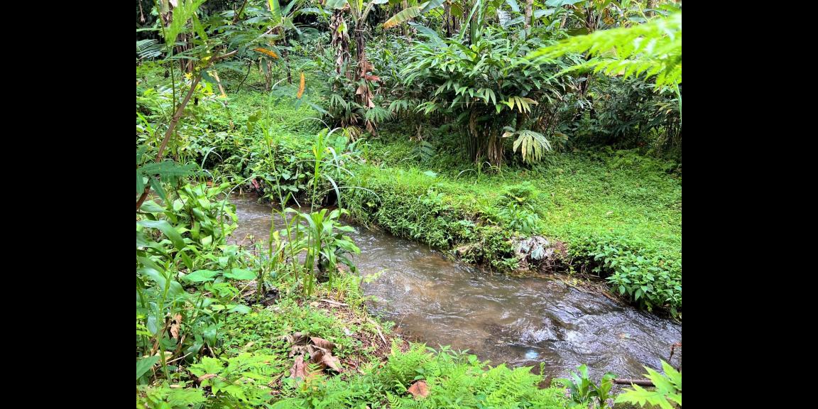 Jual Tanah Dekat Sungai Pegunungan Kemuning Jual Tanah Dekat Sungai Pegunungan Kemuning