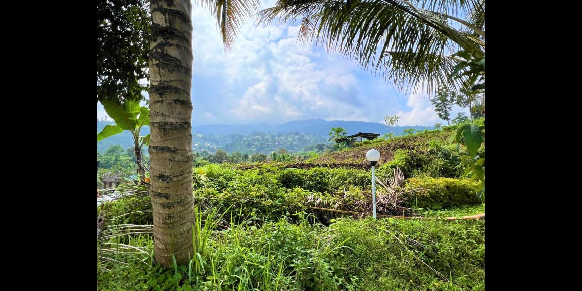 Dijual Rumah Joglo Siap Huni Kemuning Karanganyar Dijual Rumah Joglo Siap Huni Kemuning Karanganyar