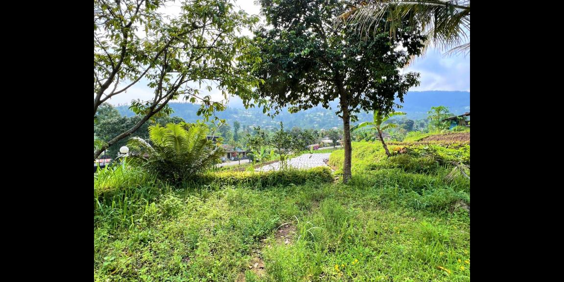 Dijual Rumah Joglo Siap Huni Kemuning Karanganyar Dijual Rumah Joglo Siap Huni Kemuning Karanganyar