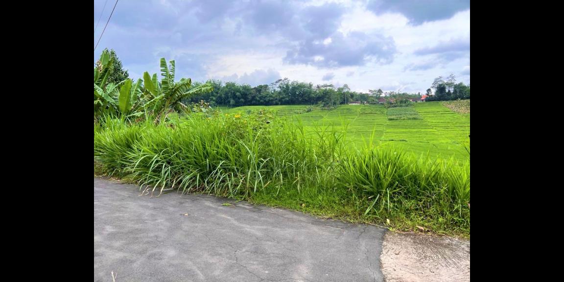 Jual Cepat Tanah Karangpandan Karanganyar Jual Cepat Tanah Karangpandan Karanganyar