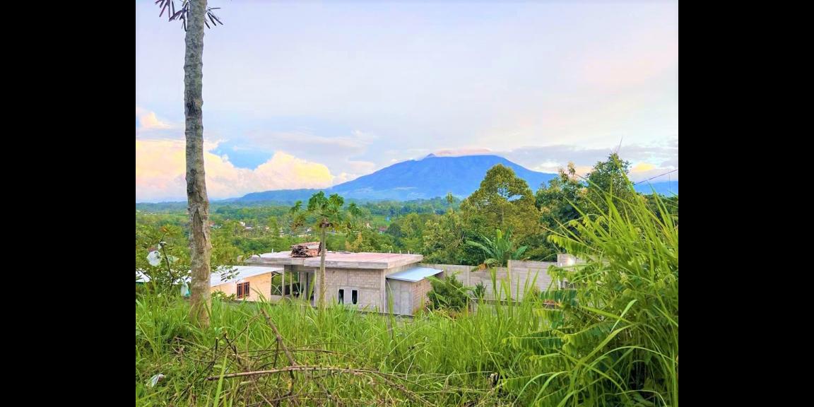 Jual Cepat Tanah Karangpandan Karanganyar Jual Cepat Tanah Karangpandan Karanganyar