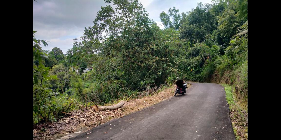 Tanah 2160m2 hanya 250jt Karangpandan Karanganyar Tanah 2160m2 hanya 250jt Karangpandan Karanganyar