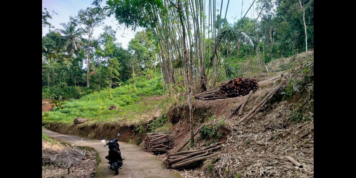 Tanah 2160m2 hanya 250jt Karangpandan Karanganyar Tanah 2160m2 hanya 250jt Karangpandan Karanganyar