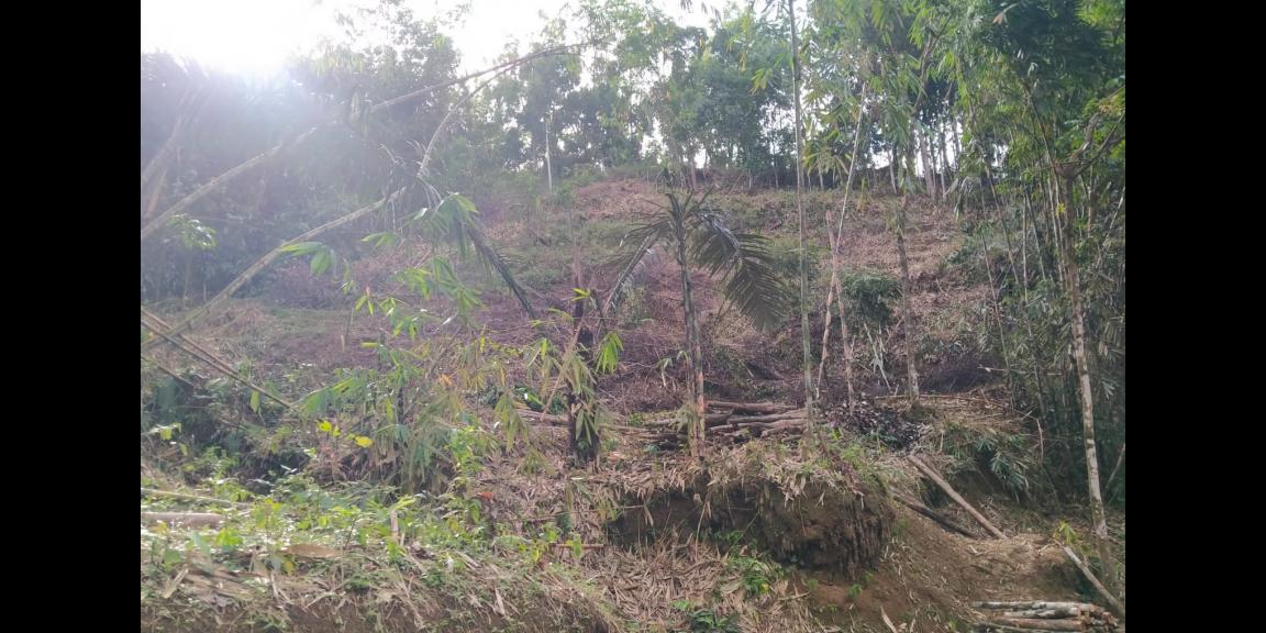 Tanah 2160m2 hanya 250jt Karangpandan Karanganyar Tanah 2160m2 hanya 250jt Karangpandan Karanganyar