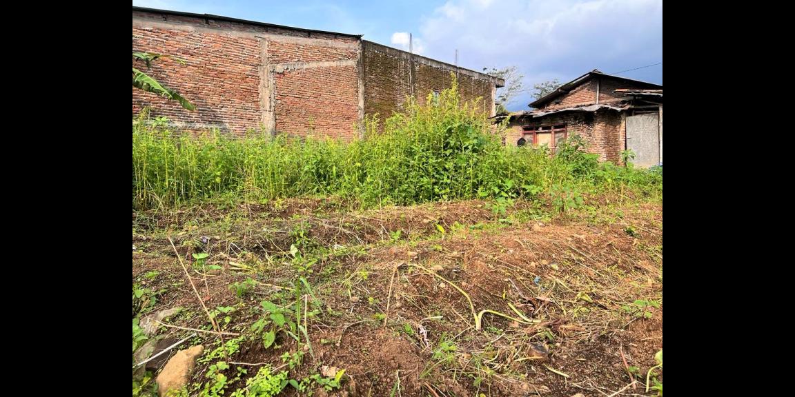 Tanah Idaman 175 juta Kemuning Ngargoyoso Karanganyar Tanah Idaman 175 juta Kemuning Ngargoyoso Karanganyar