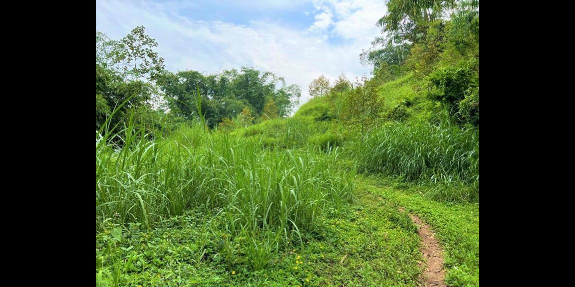 Tanah 7600m2 Dekat Sungai Karangpandan Karanganyar Tanah 7600m2 Dekat Sungai Karangpandan Karanganyar