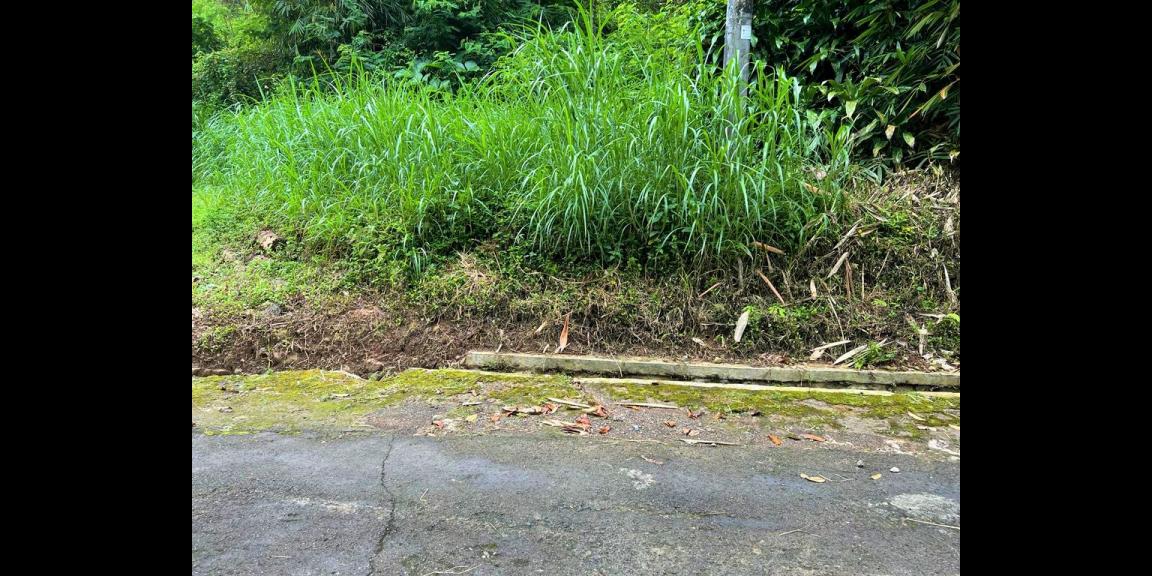 Tanah 7600m2 Dekat Sungai Karangpandan Karanganyar Tanah 7600m2 Dekat Sungai Karangpandan Karanganyar