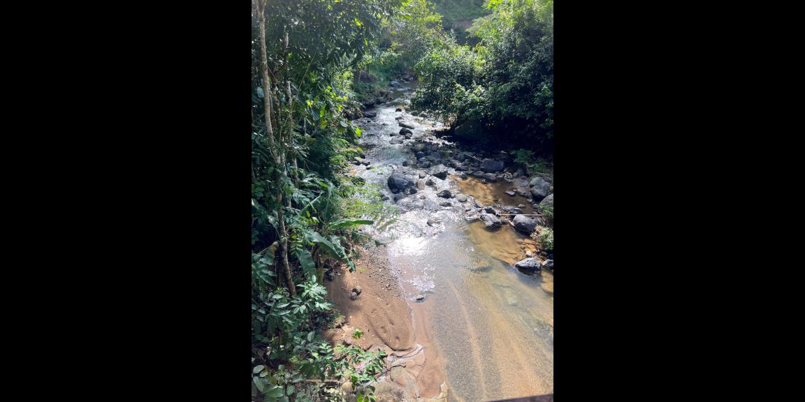 Tanah 10Hektar Hanya 200rb/m Kerjo Karanganyar Tanah 10Hektar Hanya 200rb/m Kerjo Karanganyar