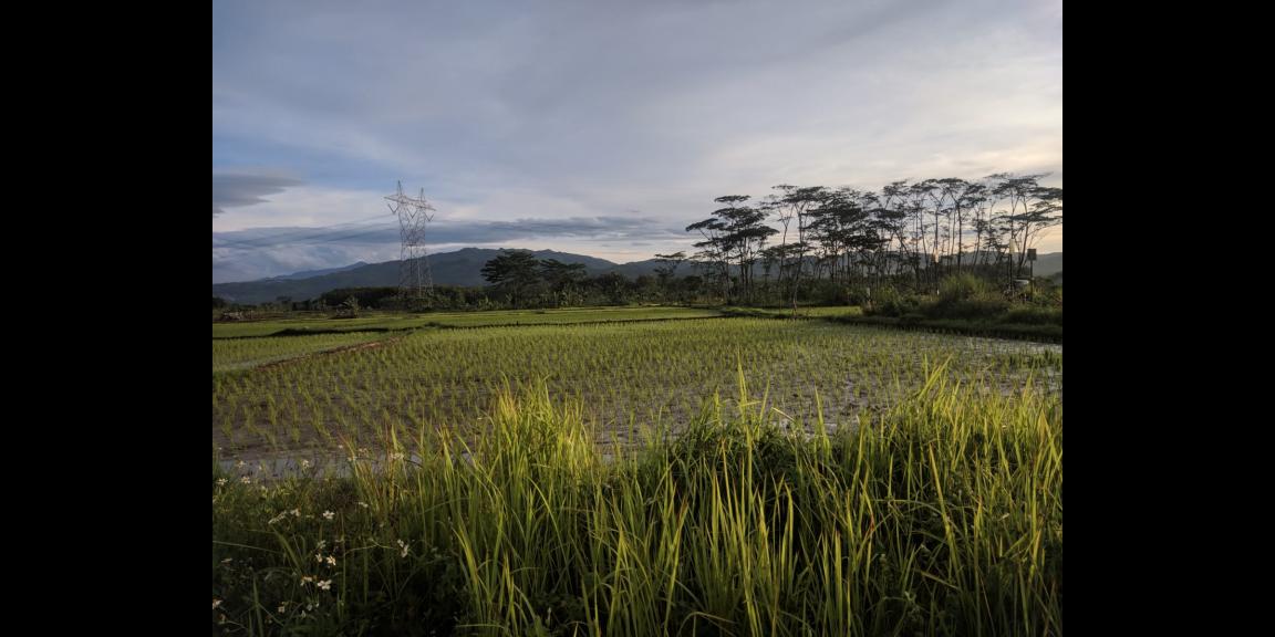 PERUMAHAN MILENIAL DESHA CULTIVERE VILLE PERUMAHAN MILENIAL DESHA CULTIVERE VILLE