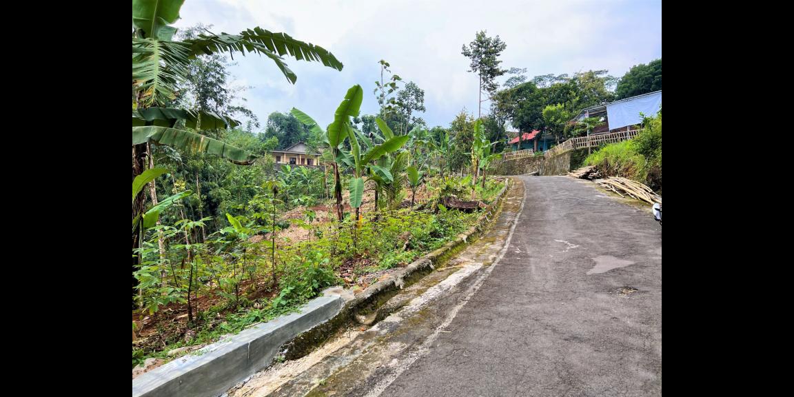 Jual Tanah Asri 600m2 Karangpandan Karanganyar Jual Tanah Asri 600m2 Karangpandan Karanganyar