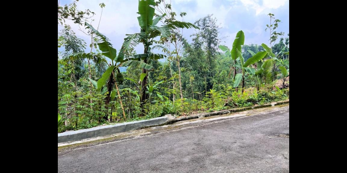 Jual Tanah Asri 600m2 Karangpandan Karanganyar Jual Tanah Asri 600m2 Karangpandan Karanganyar