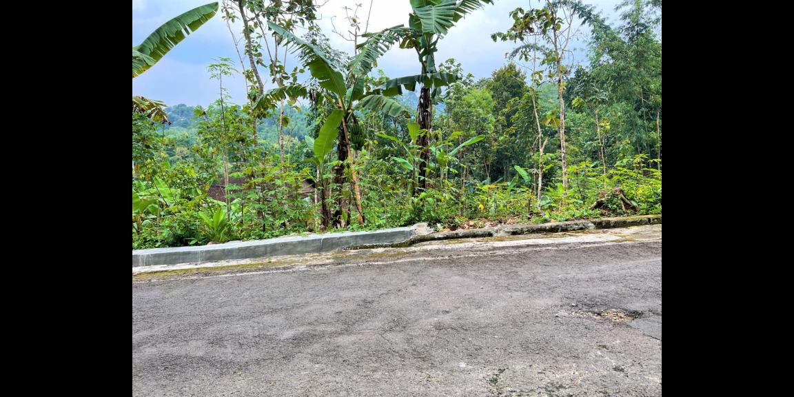 Jual Tanah Asri 600m2 Karangpandan Karanganyar Jual Tanah Asri 600m2 Karangpandan Karanganyar