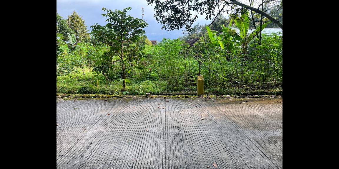 Jual Tanah Dekat Sungai Kemuning Ngargoyoso Jual Tanah Dekat Sungai Kemuning Ngargoyoso