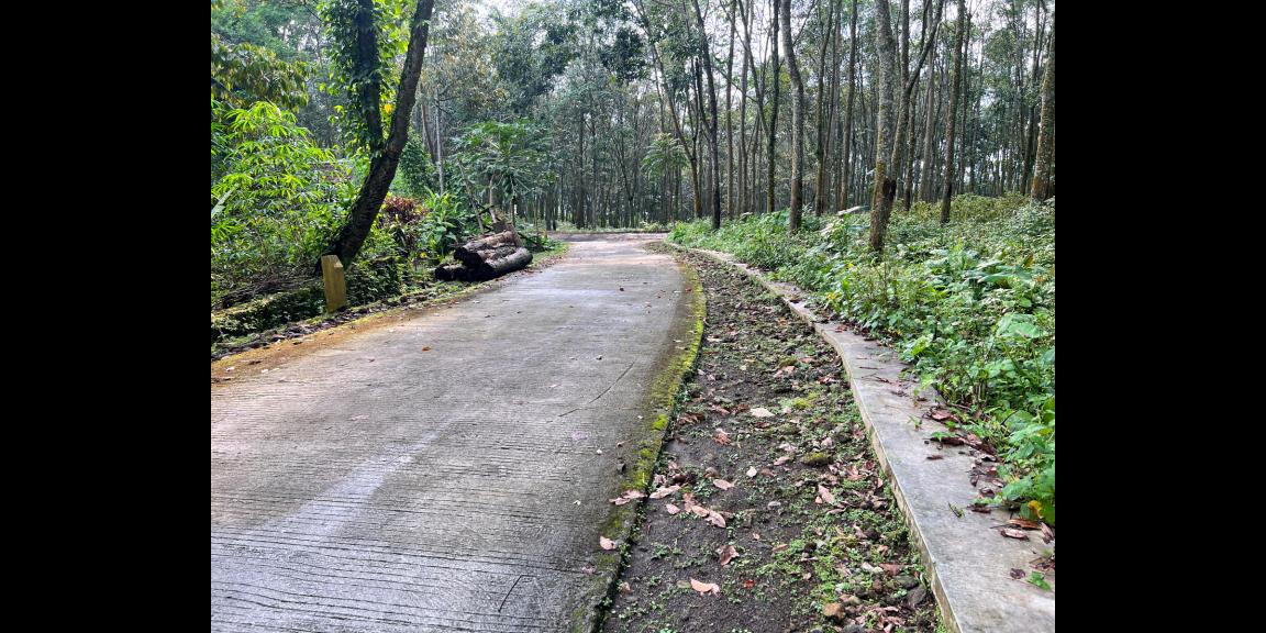 Jual Tanah Dekat Sungai Kemuning Ngargoyoso Jual Tanah Dekat Sungai Kemuning Ngargoyoso