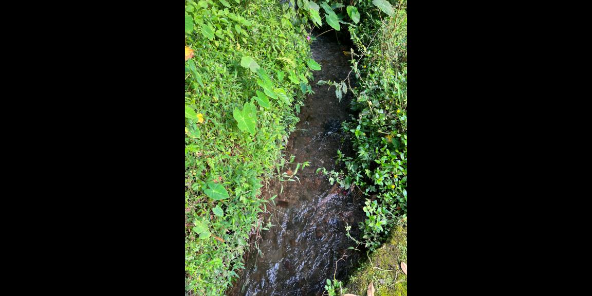 Jual Tanah Dekat Sungai Kemuning Ngargoyoso Jual Tanah Dekat Sungai Kemuning Ngargoyoso