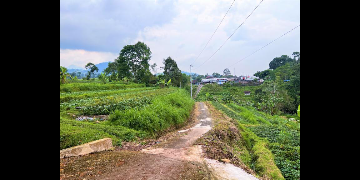 Jual Tanah 2100m2 Jl Raya Kemuning Ngargoyoso Karanganyar Jual Tanah 2100m2 Jl Raya Kemuning Ngargoyoso Karanganyar