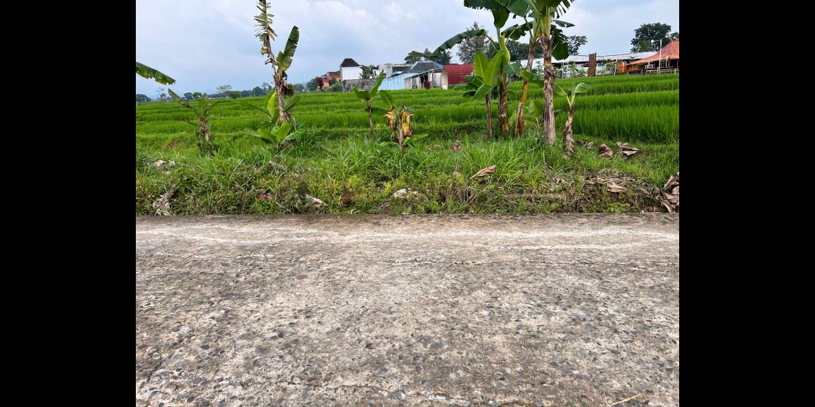 Tanah Cocok bangun Resto, Villa Karangpandan Karanganyar Tanah Cocok bangun Resto, Villa Karangpandan Karanganyar