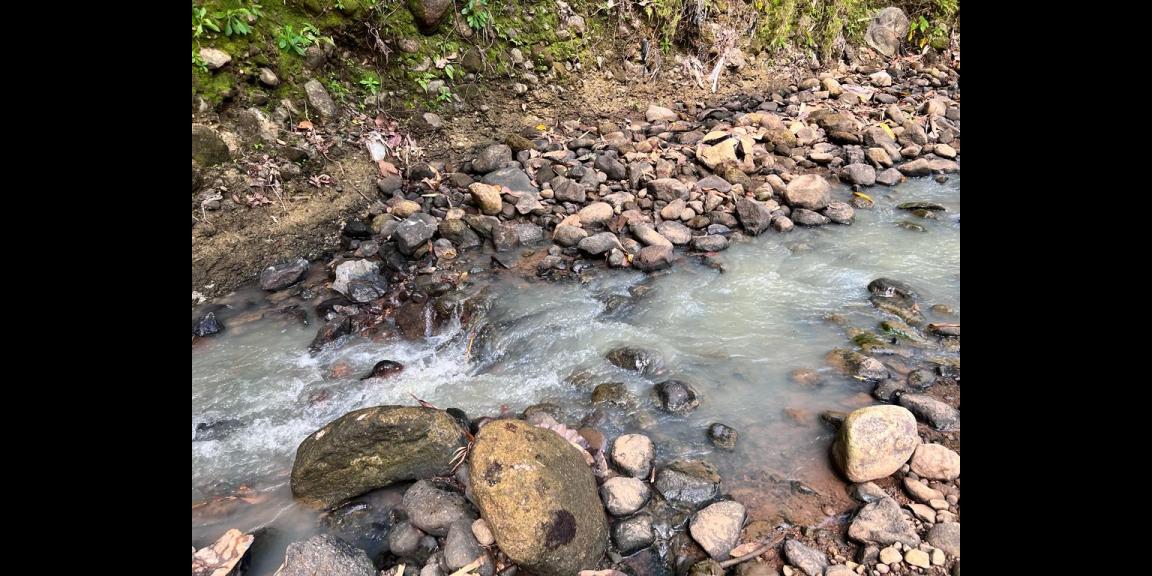 Tanah 2000m² Dekat Sungai Karanganyar Tanah 2000m² Dekat Sungai Karanganyar