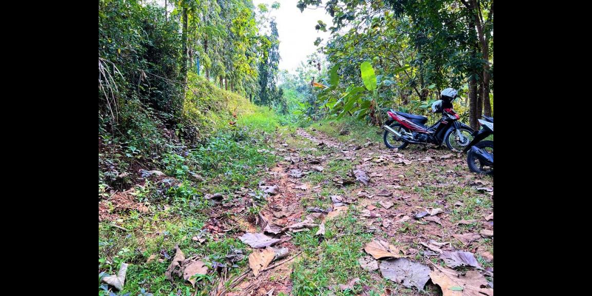 Jual Tanah Dekat Aliran sungai Karanganyar Jual Tanah Dekat Aliran sungai Karanganyar