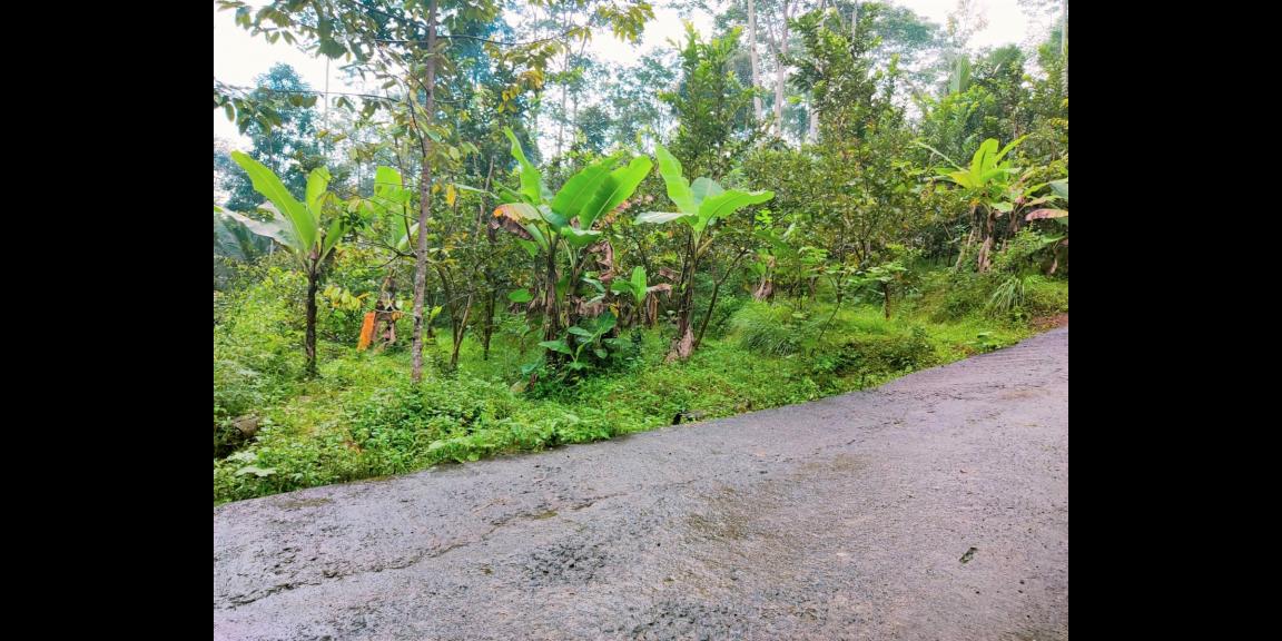 Jual Cepat Tanah 1075m 150Jt Ngargoyoso Karanganyar Jual Cepat Tanah 1075m 150Jt Ngargoyoso Karanganyar