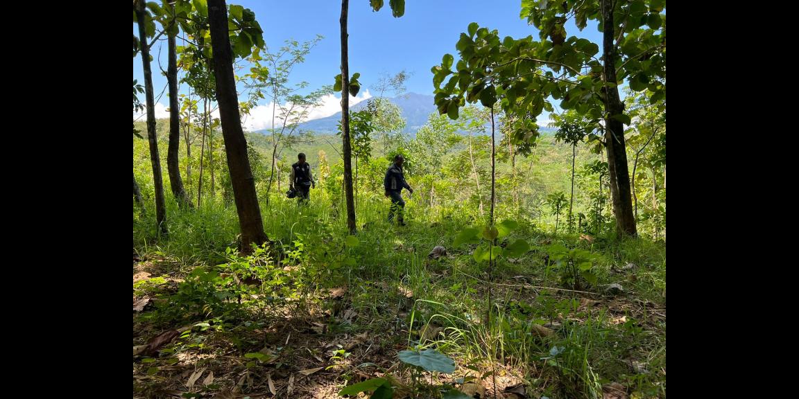 Tanah 4606m² Kerjo Karanganyar Tanah 4606m² Kerjo Karanganyar