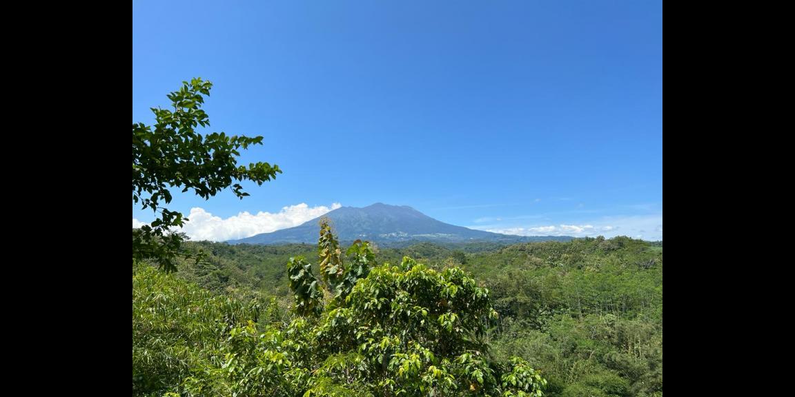 Tanah 4606m² Kerjo Karanganyar Tanah 4606m² Kerjo Karanganyar