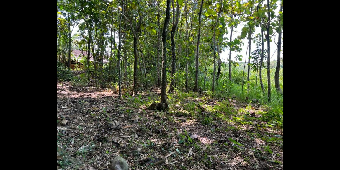 Tanah 4606m² Kerjo Karanganyar Tanah 4606m² Kerjo Karanganyar