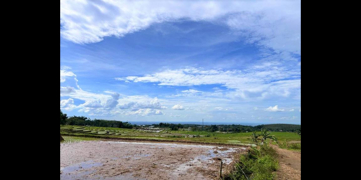 Tanah Strategis 150 Juta Kerjo Karanganyar Tanah Strategis 150 Juta Kerjo Karanganyar