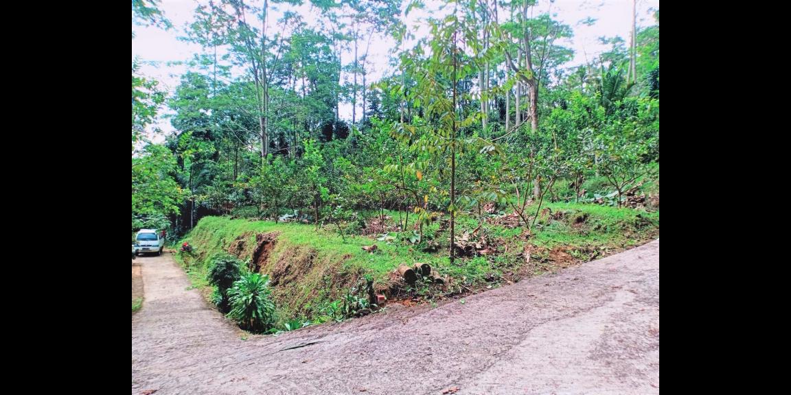 Jual Cepat Tanah 135 Juta Ngargoyoso Karanganyar Jual Cepat Tanah 135 Juta Ngargoyoso Karanganyar