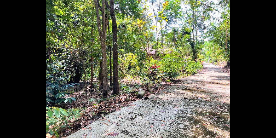 Tanah Dekat Sungai & Sawah Mojogedang Karanganyar Tanah Dekat Sungai & Sawah Mojogedang Karanganyar