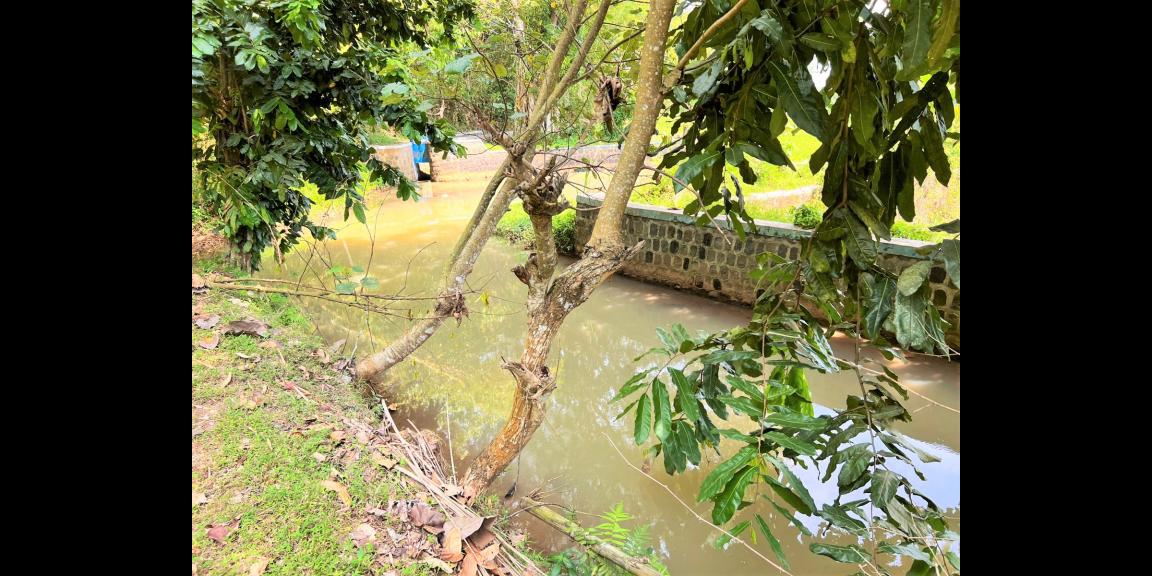 Tanah Dekat Sungai & Sawah Mojogedang Karanganyar Tanah Dekat Sungai & Sawah Mojogedang Karanganyar
