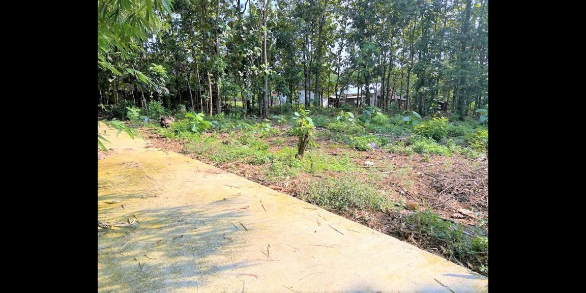 Tanah Pekarangan Hanya 90Juta Sragen Tanah Pekarangan Hanya 90Juta Sragen