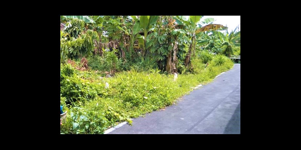 Dijual Tanah Siap Dibangun Jaten Karanganyar Dijual Tanah Siap Dibangun Jaten Karanganyar