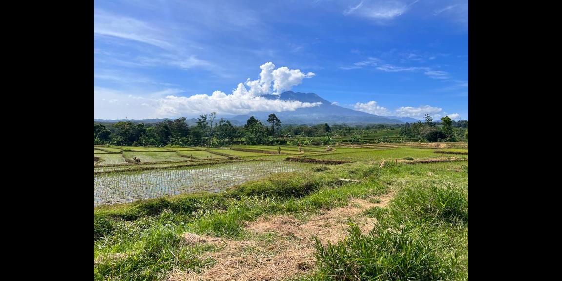 Jual Tanah 234m Kerjo Karanganyar Jual Tanah 234m Kerjo Karanganyar