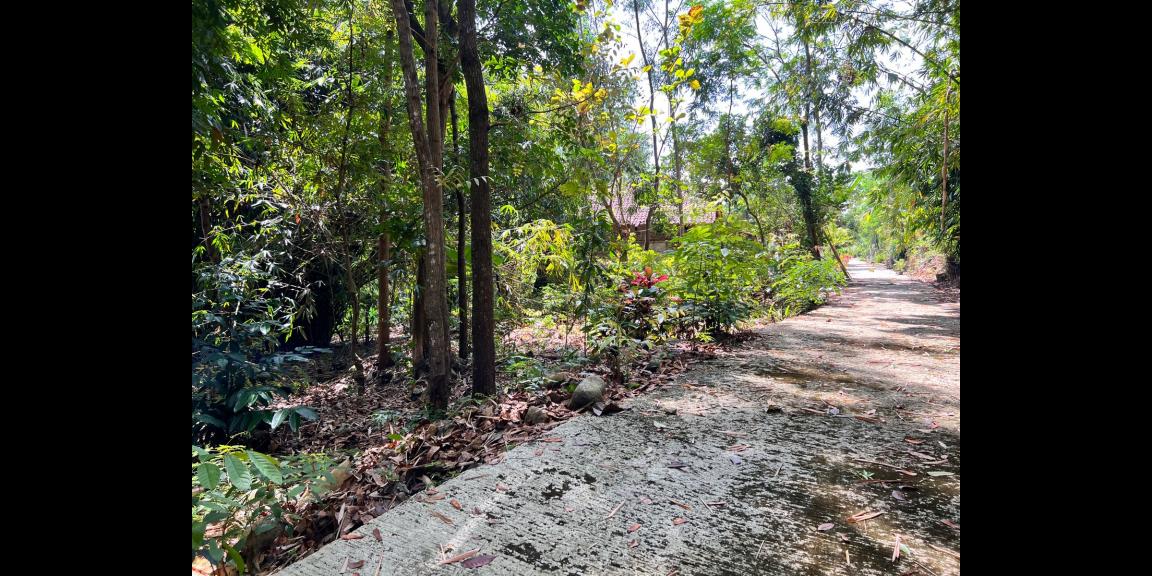 Tanah 815m² 175juta Mojogedang Karanganyar Tanah 815m² 175juta Mojogedang Karanganyar