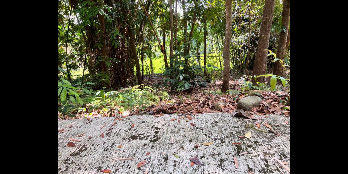 Tanah 815m² 175juta Mojogedang Karanganyar Tanah 815m² 175juta Mojogedang Karanganyar