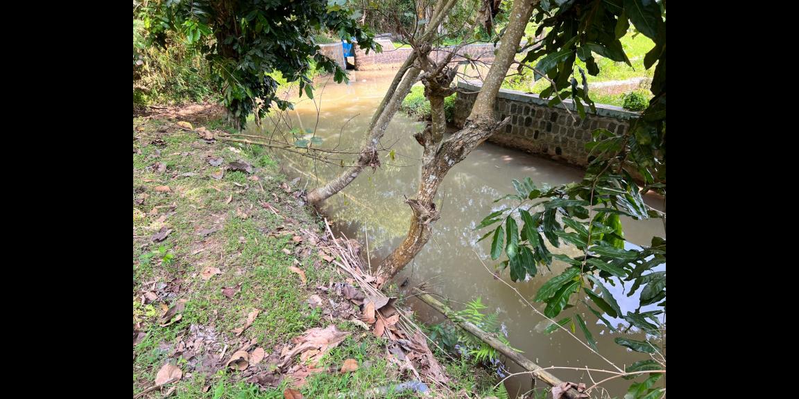 Tanah 815m² 175juta Mojogedang Karanganyar Tanah 815m² 175juta Mojogedang Karanganyar