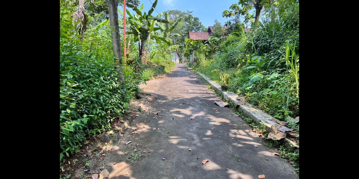 Dijual Rumah Joglo 660m Mojogedang Karanganyar Dijual Rumah Joglo 660m Mojogedang Karanganyar