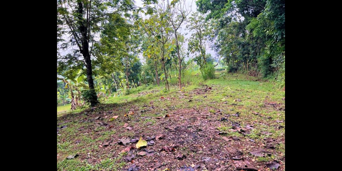 Dijual Tanah Murah Mojogedang Karanganyar Dijual Tanah Murah Mojogedang Karanganyar